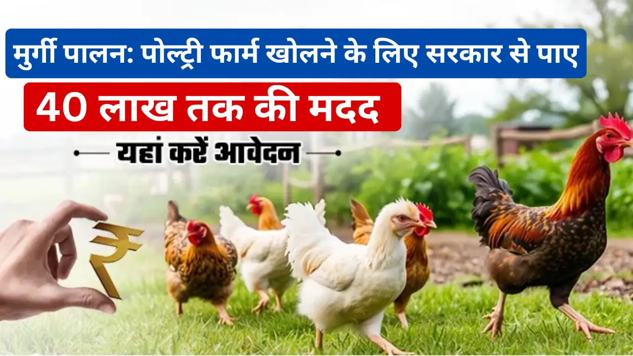 Bihar Poultry Farm Yojana